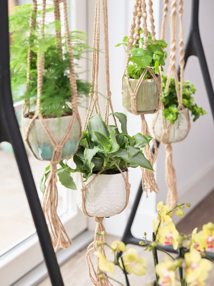 Verwonderlijk Hang-Plant-Pot-Indoor - Niek Erents Fotografie | Zakelijk MR-32